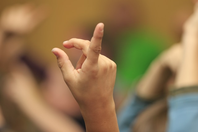 Imagen para ASL